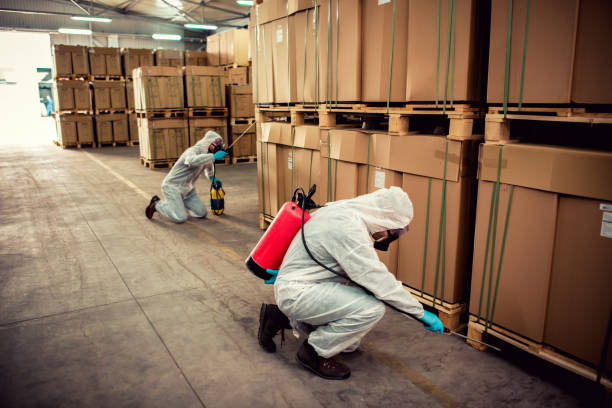 Best Emergency Pest Control  in El Sobrante, CA