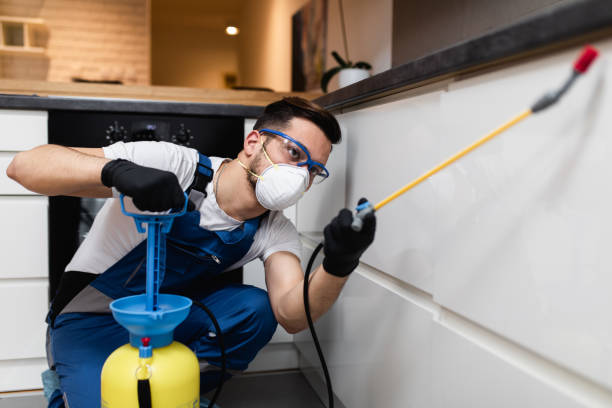 Best Affordable Pest Control Services  in El Sobrante, CA