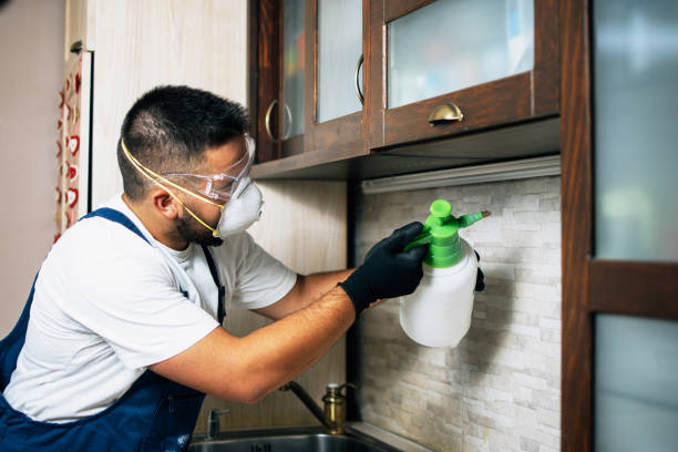 Best Pest Inspection Near Me  in El Sobrante, CA