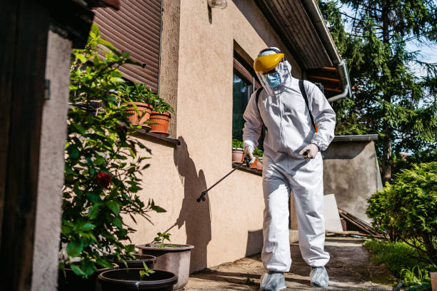Best Mosquito Control Services  in El Sobrante, CA
