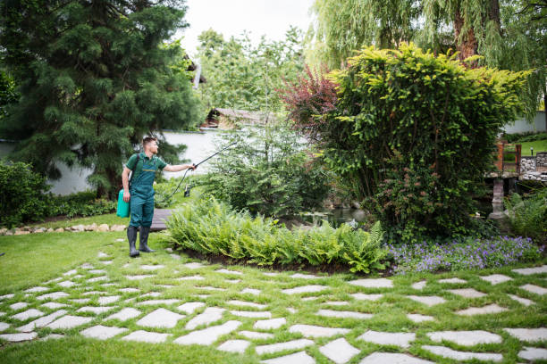 Best Pest Inspection Near Me  in El Sobrante, CA