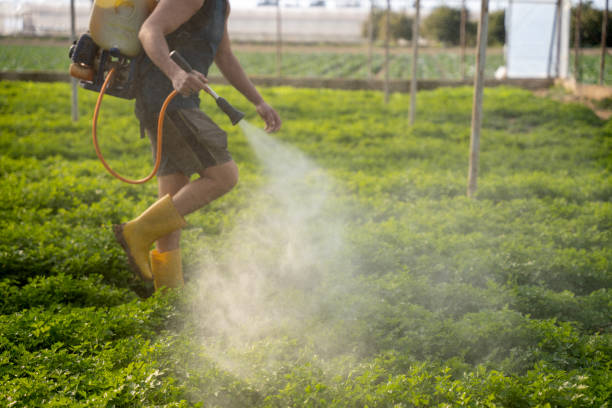 Best Pest Removal Services  in El Sobrante, CA