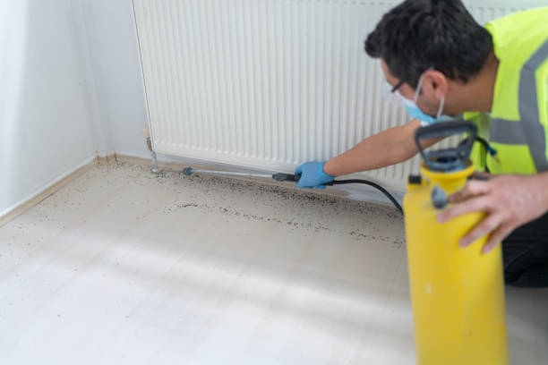 Best Best Pest Control Companies  in El Sobrante, CA