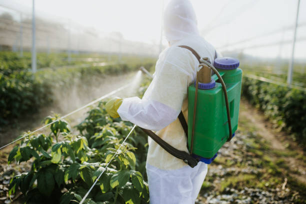 Best Local Pest Control Services  in El Sobrante, CA